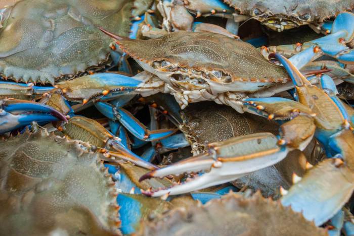 How to cook live crab chinese style